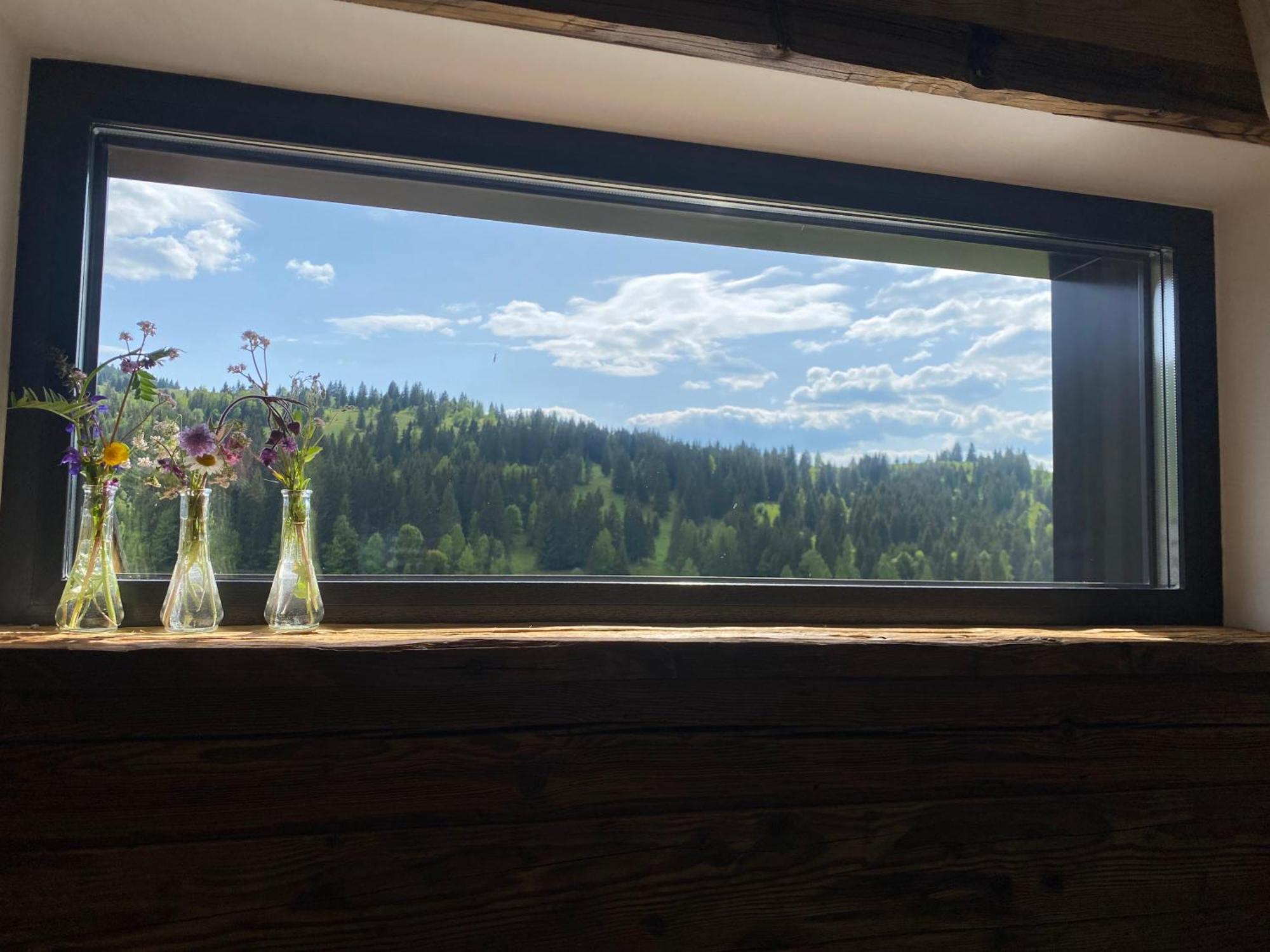 Kaliba Cabins Valea Boros エクステリア 写真