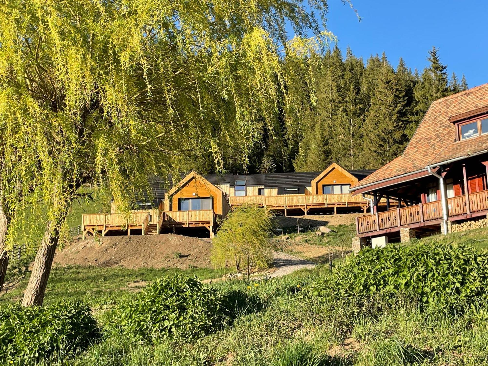 Kaliba Cabins Valea Boros エクステリア 写真